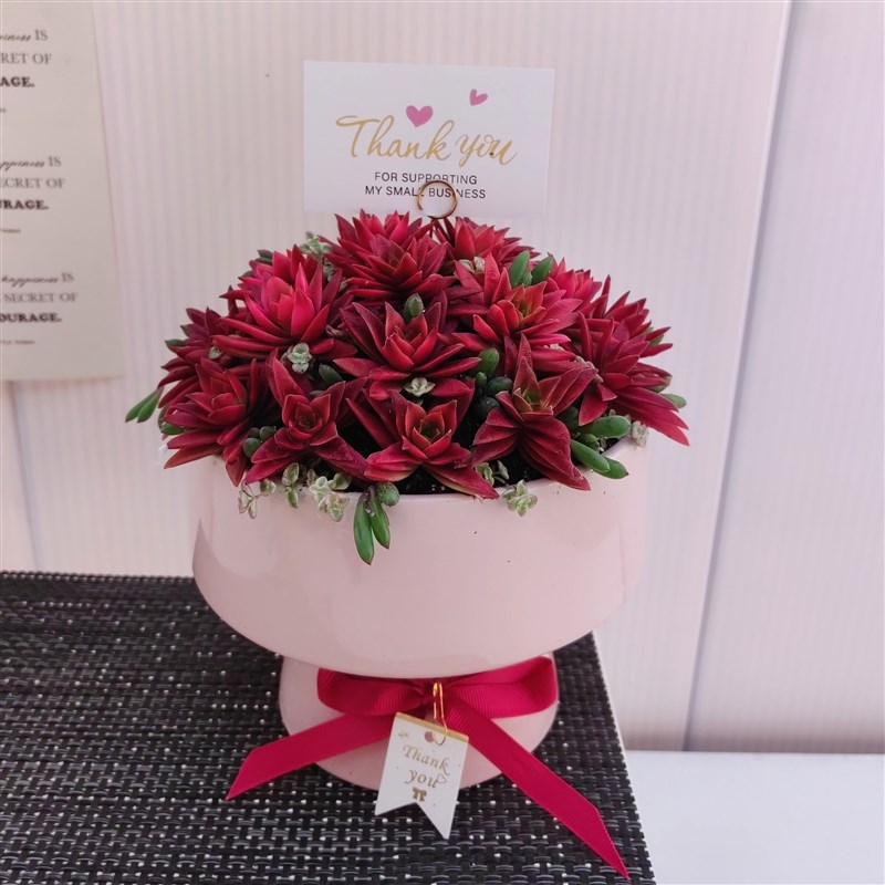 多肉植物创意花束k鲜艳红色手捧花送领导朋友乔迁新居礼品带盆栽