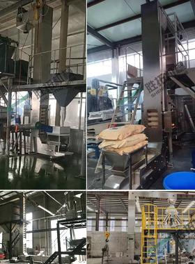 食品化虾皮Z式型提升机锈ST191123钢斗提升机氨基酸粉Z型上料机工