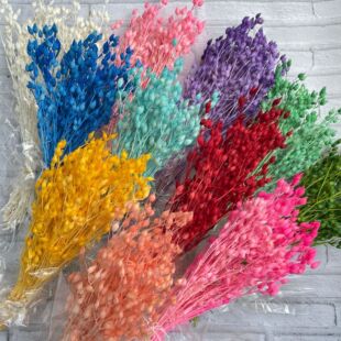 云南花者浮游瓶蜡烛香薰DIY手工花材蝇子草干花英子草多色批