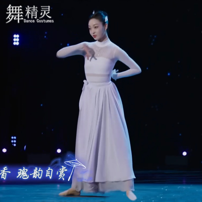 速发古典舞时候舞蹈服飘逸练习裙现代舞一片式半身裙舞蹈纱裙演出