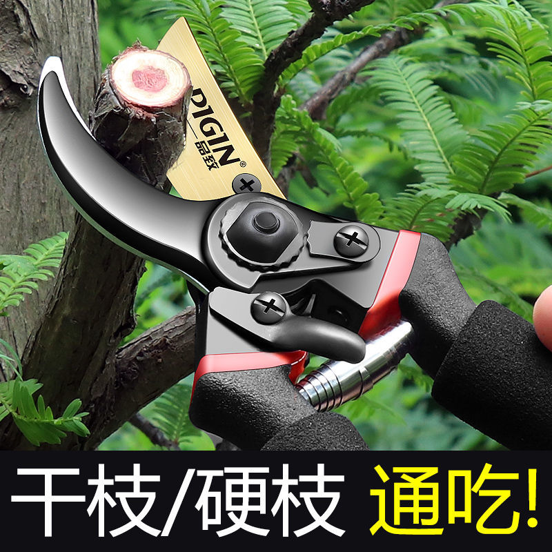速发钢SK5力枝剪省修家用果树园林粗枝剪嫁接花艺园艺剪工具