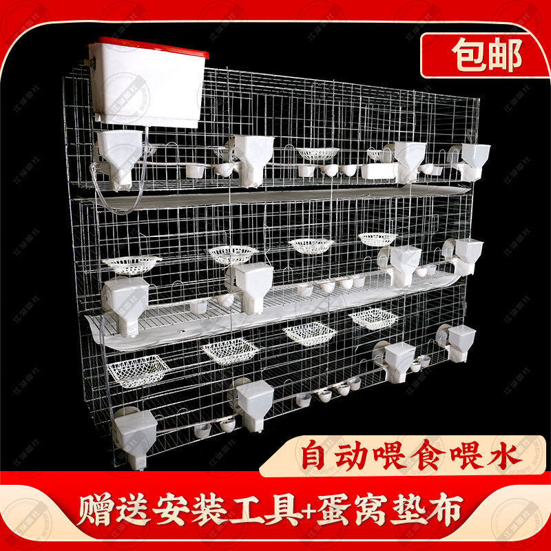 速发子鸽笼鸽子笼子家用养殖鸽子龙大号套鸽舍鸽棚大型网配对