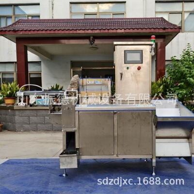 面筋压花切割穿串机 全自动面筋切花机厂家 不锈钢面筋机