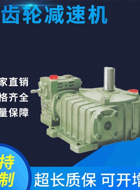 厂家供应WPEO型WPEX双级伺服行星减速器蜗轮蜗杆硬齿轮减速机