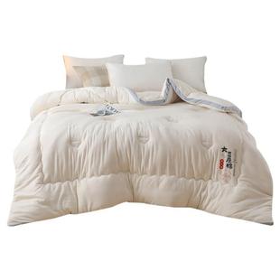 原棉大豆纤维被春秋被加厚冬被学生被芯四季棉被空调被子抗菌