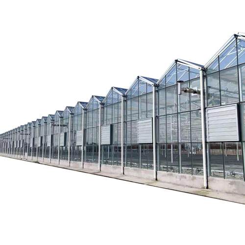 无锡厂家供应玻璃温室大棚生态餐厅PC连栋阳光板智能科技玻璃温室