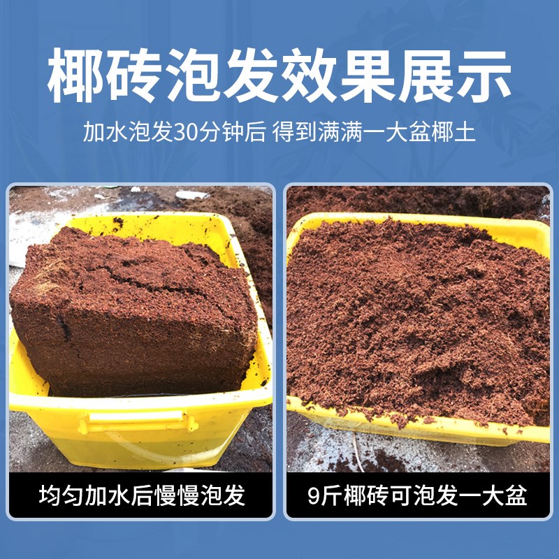 现货速发高泡发-椰子营养土养花压缩营养土通用型椰砖土种菜有机