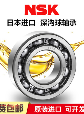 进口NSK轴承6214 6215 6216 6217 6218 I6219 6220 ZZ/DDU C3