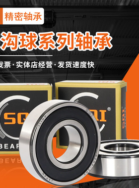 高速轴承大全62307 6230p8 62309 62310 62311 62312 62313 ZZ