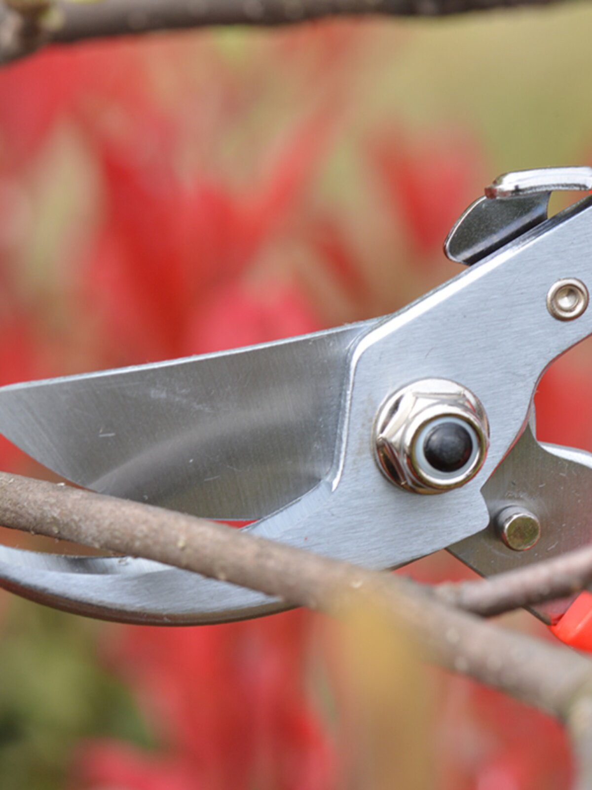 台湾进口佐川吉752园艺工具剪刀 枝剪花卉果树修枝剪 修花粗枝剪