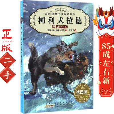 柯利犬拉德 沈石溪  安徽少年儿童出版社