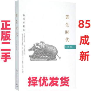 【正版二手】 黄金时代 王小波 著 湖南文艺出版社 9787540473853