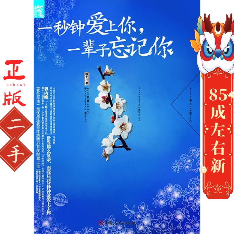 一秒钟爱上你,一辈子忘记你 韩十三 湖南人民出版社