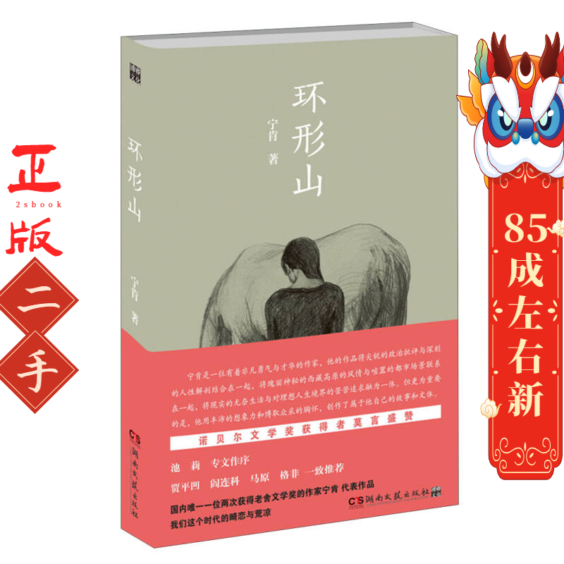 环形山 宁肯 湖南文艺出版社 - 实物图