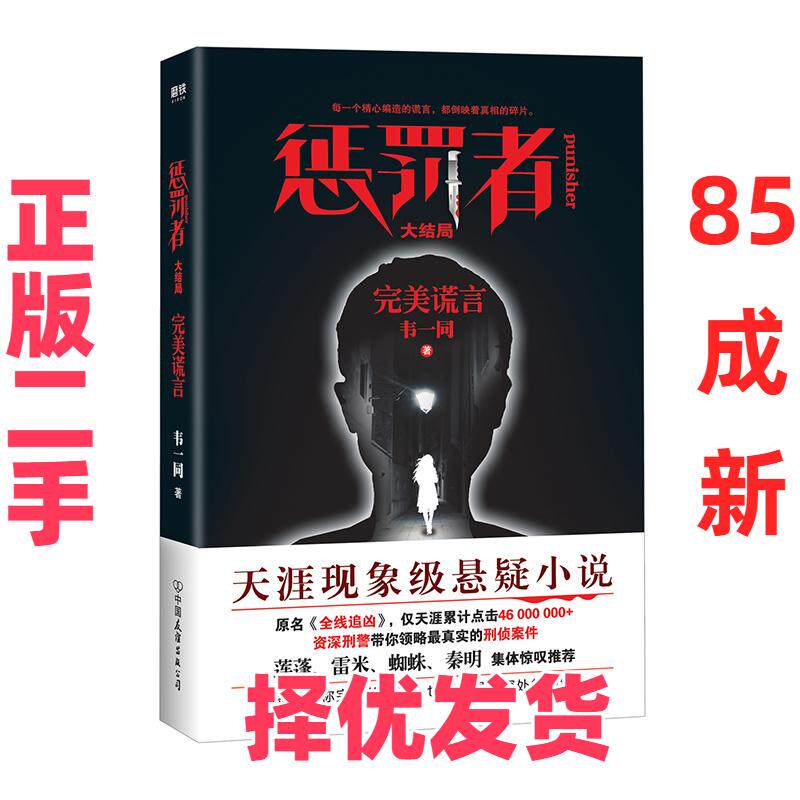 【正版二手】 惩罚者(大结局) 韦一同 中国友谊出版社 9787505744066