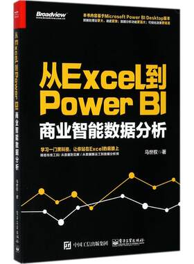 从Excel到Power BI：商业智能数据分析 马世权 电子工业出版社