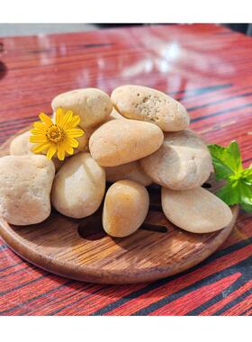 白色东莞·惠州塑胶花厂直供彩色鹅卵石仿真盆景上盆装饰专用