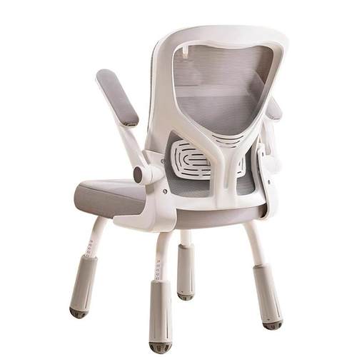 可升降学习椅小学生家用书桌学习座椅护背人体工学矫正坐姿学习椅