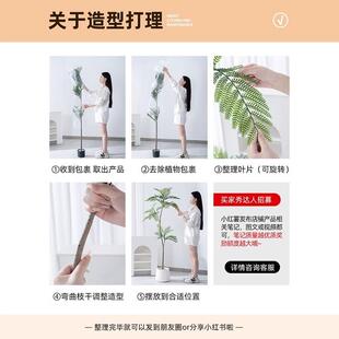 仿真绿植蓝花楹落地盆栽仿生植物摆件室内客厅沙发旁装饰盆景假树