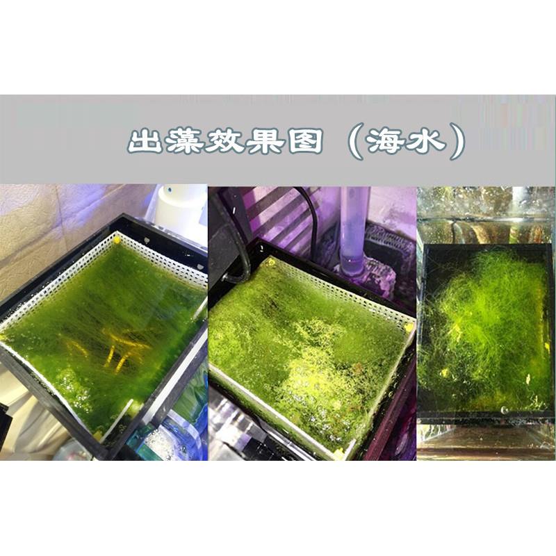 外挂UAS藻盒ATS藻盒鱼缸生态过滤器外挂藻盒除no3海缸海水藻盒