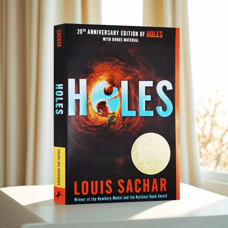 英文原版 Holes 洞 别有洞天 Random House Louis Sachar 纽伯瑞奖小说 讨论了校园霸凌种族问题和人性的贪婪青少年文学
