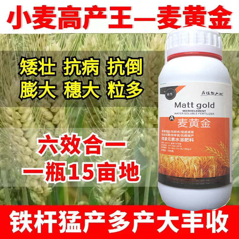 速发小麦叶面肥控旺高产素增产素分蘖抗倒伏缩节灌浆肥叶面肥
