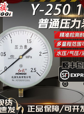 红旗牌Y-250普通压力表1.6级
