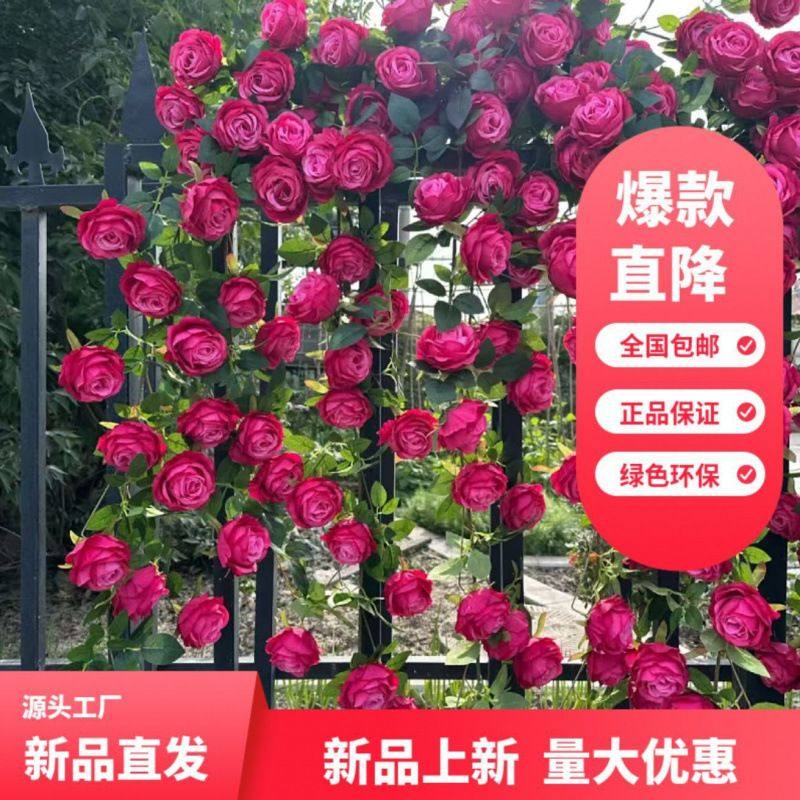 仿真玫瑰花藤床头花藤条假花客厅空调吊椅装饰阳台遮挡塑料藤蔓,鲜花速递/花卉仿真/绿植园艺,月季/蔷薇/玫瑰,淘宝优惠券,粉丝福利购,淘宝优惠卷
