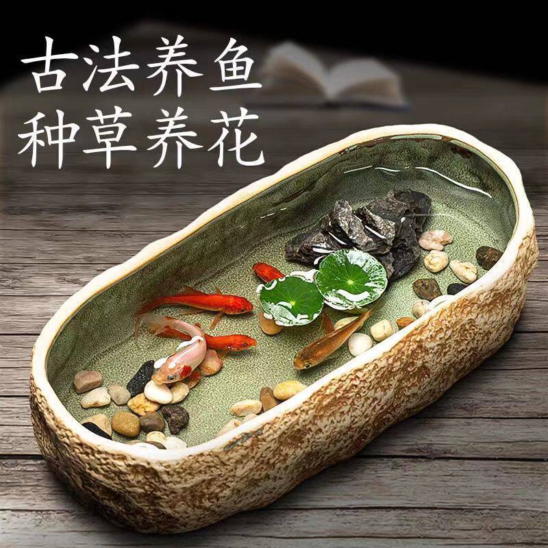 陶瓷养鱼缸家用碗莲水培池阳台生态造景盆创意桌面装饰小型乌