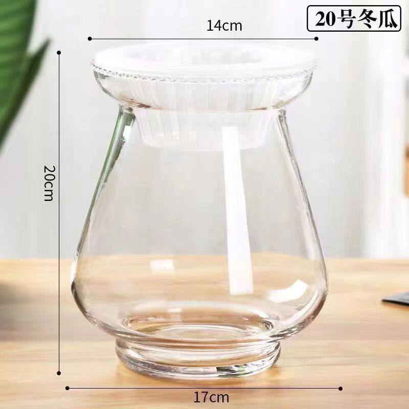 特大号水培植物玻璃瓶透明水养绿萝花瓶花盆圆形容器鱼缸器皿摆件
