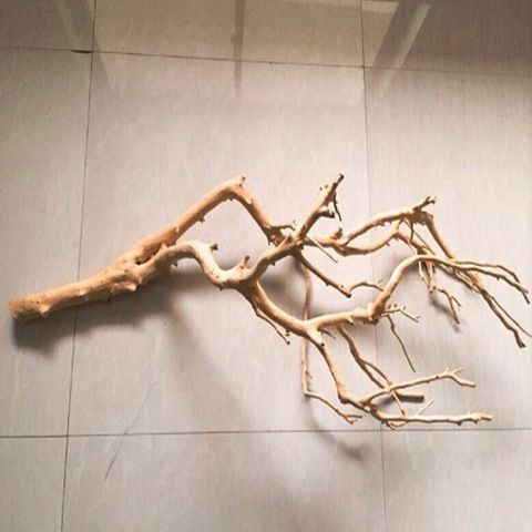 干树枝造景原木干枝酒店橱窗设计枯枝真树枝墙面装饰吊灯树枝装饰