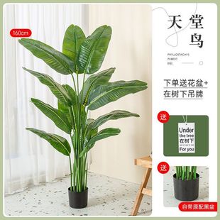 仿真绿植旅人蕉落地式盆栽摆件北欧大型客厅室内装饰假绿植天堂鸟