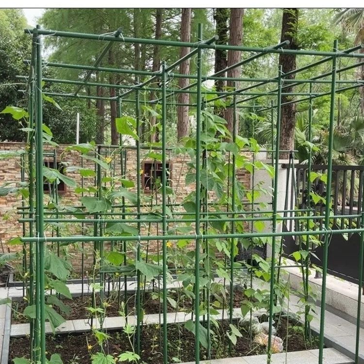 园艺植物支架杆空心包塑钢管黄瓜丝瓜爬藤杆瓜果花卉爬藤架