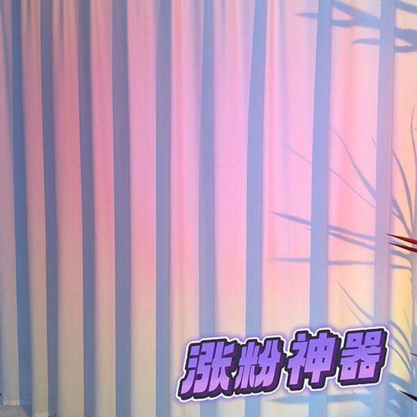 直播间背景窗帘免打孔安装魔术贴主播直播背景窗帘白纱自带褶皱帘