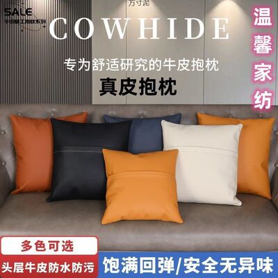 皮沙发新款靠枕轻奢软牛皮客厅抱枕头层牛皮抱枕源头工厂一件