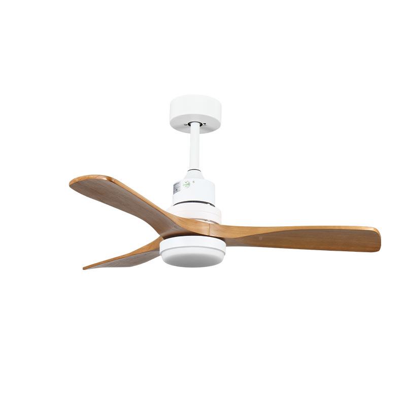 餐智厅木风扇客灯能实变频厅电扇灯卧室吸顶一体吊扇灯具中山工厂