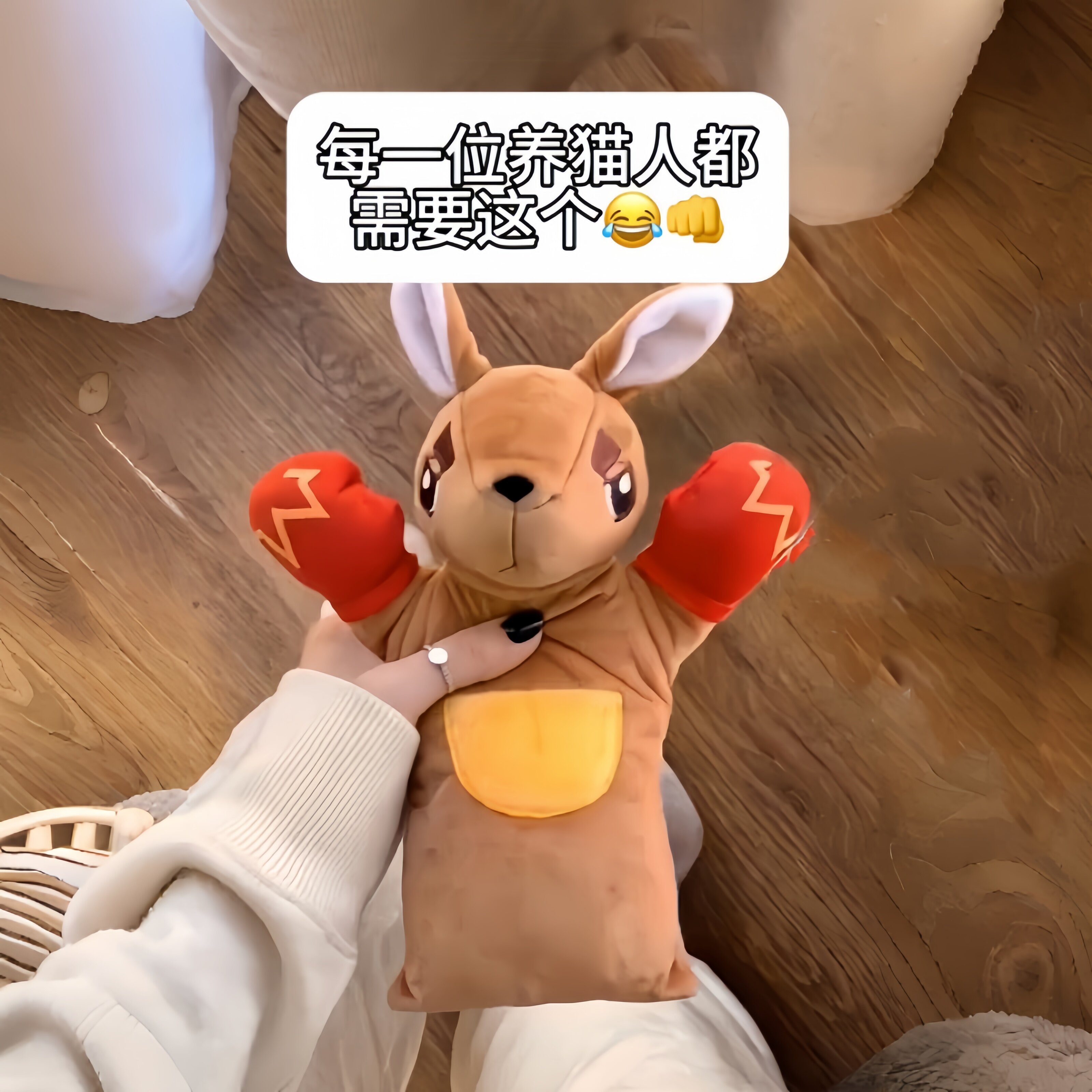 创意人宠互动毛绒逗猫手套图片