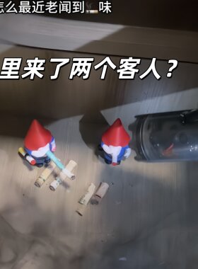 窃贼地精游戏周边窃贼小精灵手办模型现货Burglin' Gnomes摆件