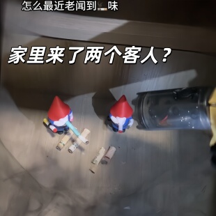 窃贼地精游戏周边窃贼小精灵手办模型现货Burglin' Gnomes摆件
