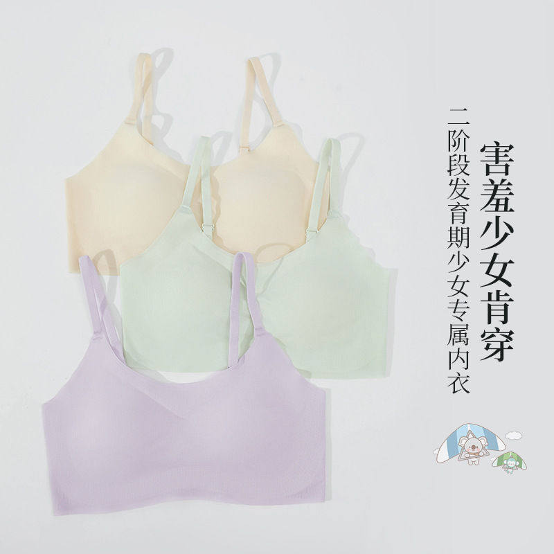 合升隆2024新款二阶段少女发育期内衣细肩带无痕半固定杯少女文胸