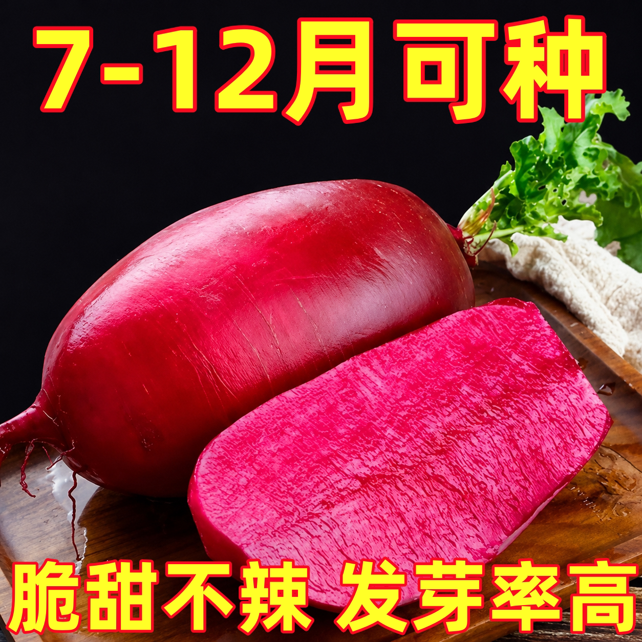 凤梨水果萝卜种子生吃紫美人萝卜胭脂萝卜籽夏季四季蔬菜种子大全