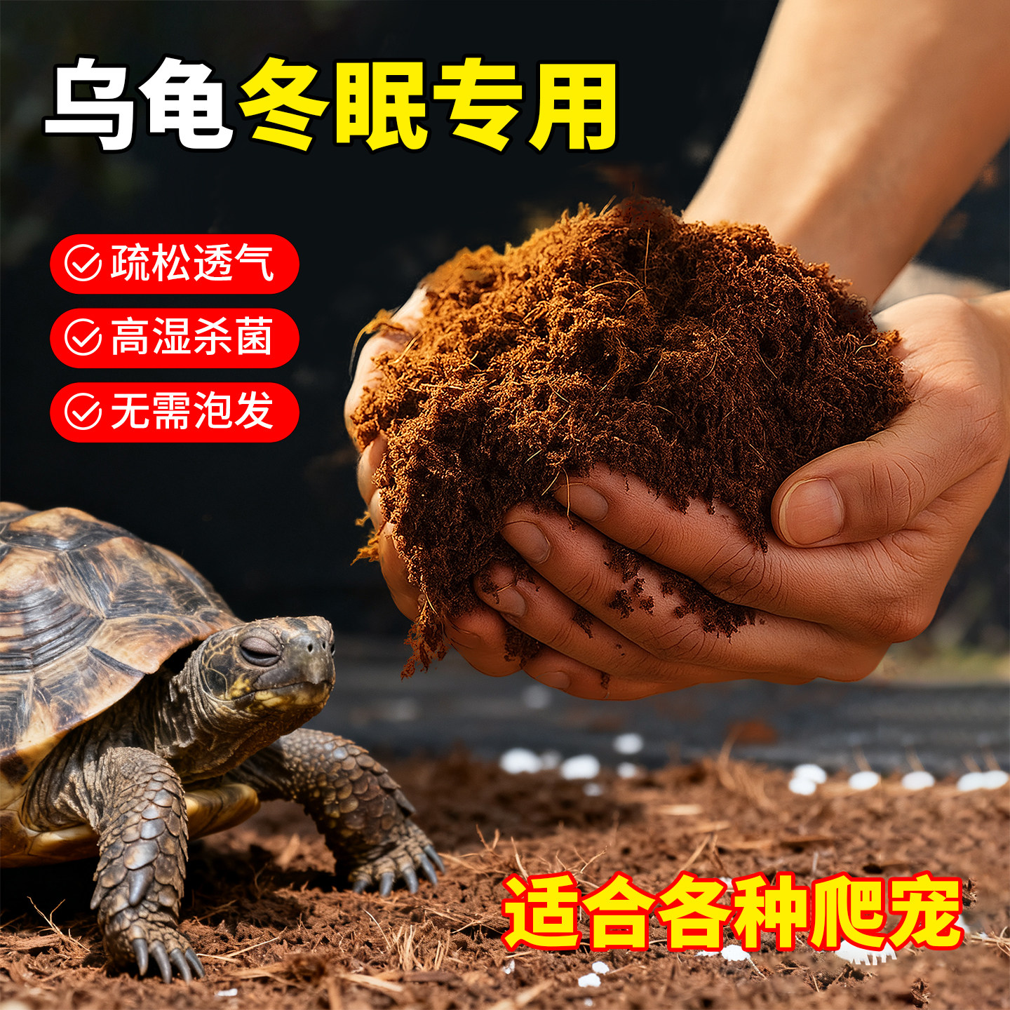 乌龟冬眠专用椰土寄居蟹蜗牛蜘蛛用品爬宠垫料苔藓饲养箱过冬神器