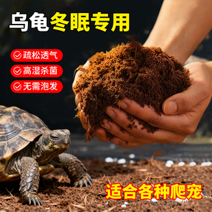 乌龟冬眠专用椰土寄居蟹蜗牛蜘蛛用品爬宠垫料苔藓饲养箱过冬神器