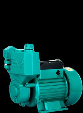 家用全自动抽水泵水井自吸增压泵自来水管道加压泵2S20V小型加压