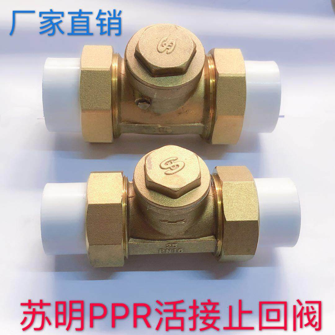 苏明ppr新款水表换气阀门专用黄铜直通止回阀单向阀2532直销