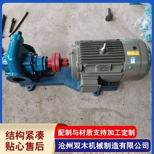 厂家加工2CY58 0.28电动小型润滑油输送泵齿轮泵机械生产