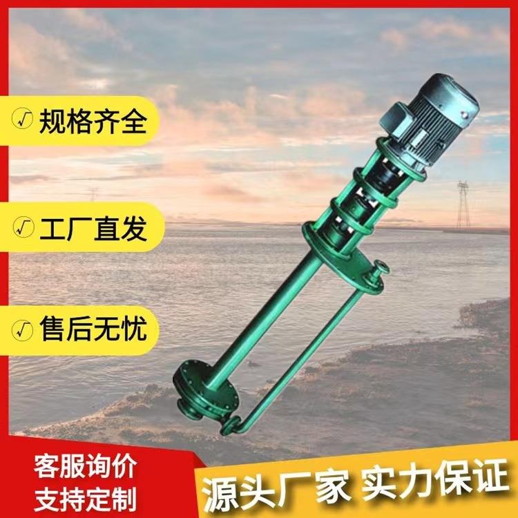 液下渣浆泵排洪抗涝河道清淤池塘水库吸沙泵200SV-SP泥浆泵