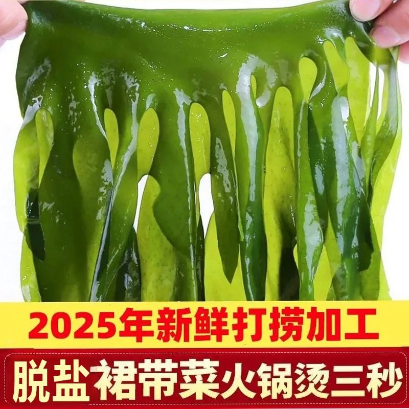 大连】盐渍裙带菜海带海白菜嫩芽海带苗凉拌海菜当季新货火锅食材