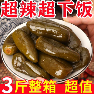 【特等】油焖港椒即食腌辣椒咸菜下酒菜酱香红油泡辣椒下饭菜超辣