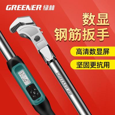 绿林钢筋扭力扳手数显万能螺纹套筒扭力检测测力工具电子力矩扳手
